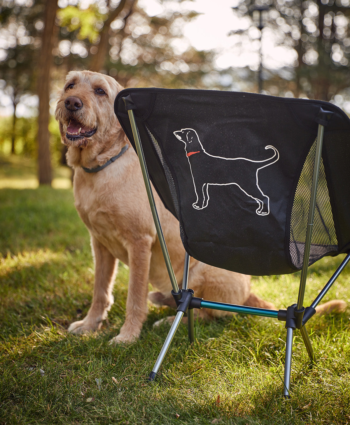 The Black Dog Foldable Portable Chair