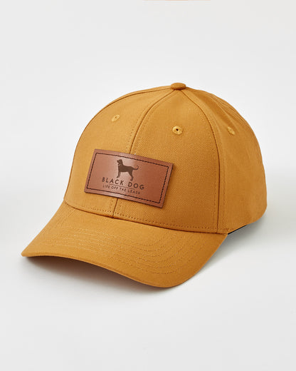 Adult Leather Logo Hat