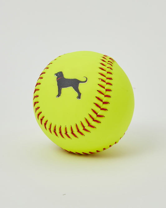 Black Dog Official Softball