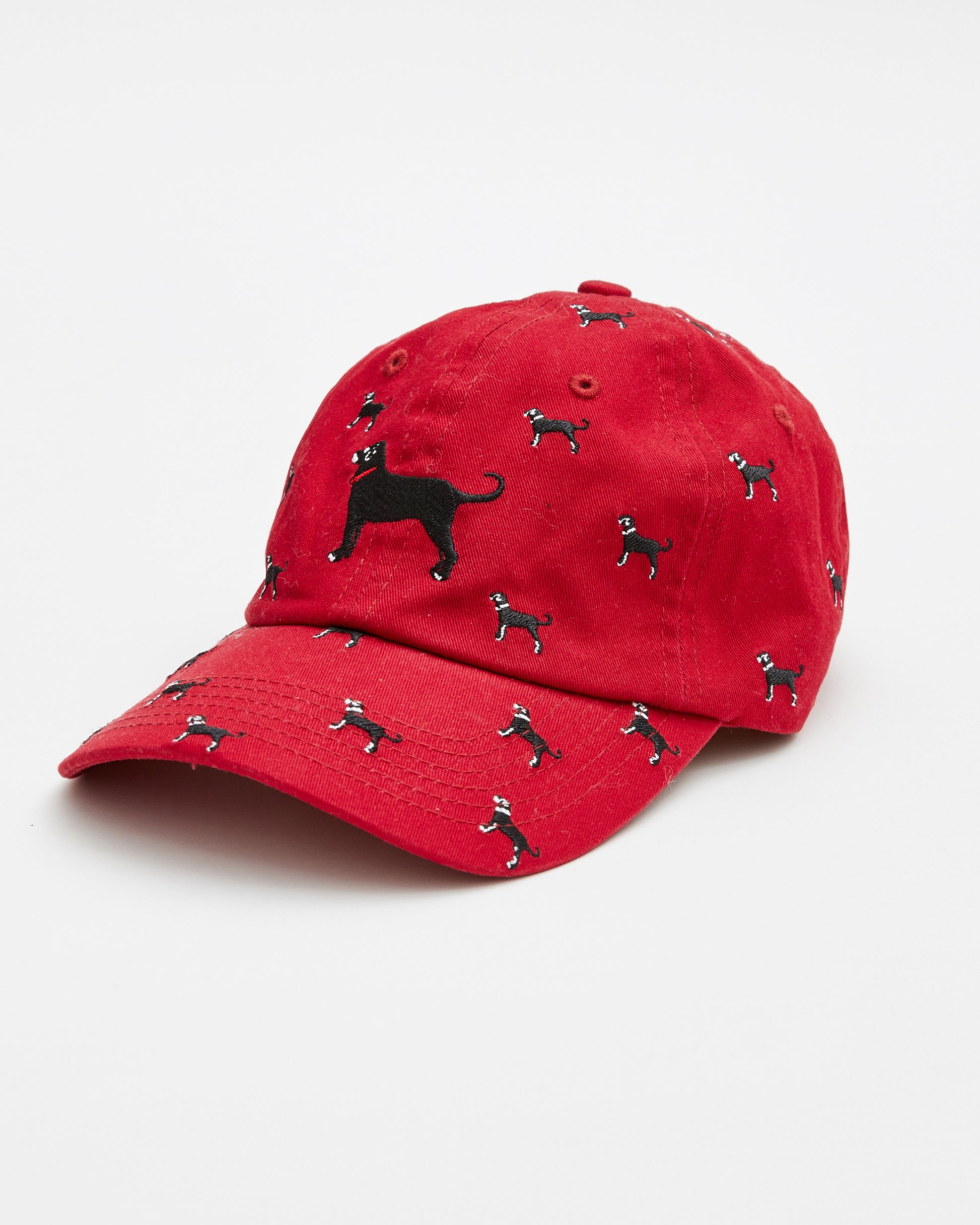 Kids Confetti Hat – The Black Dog
