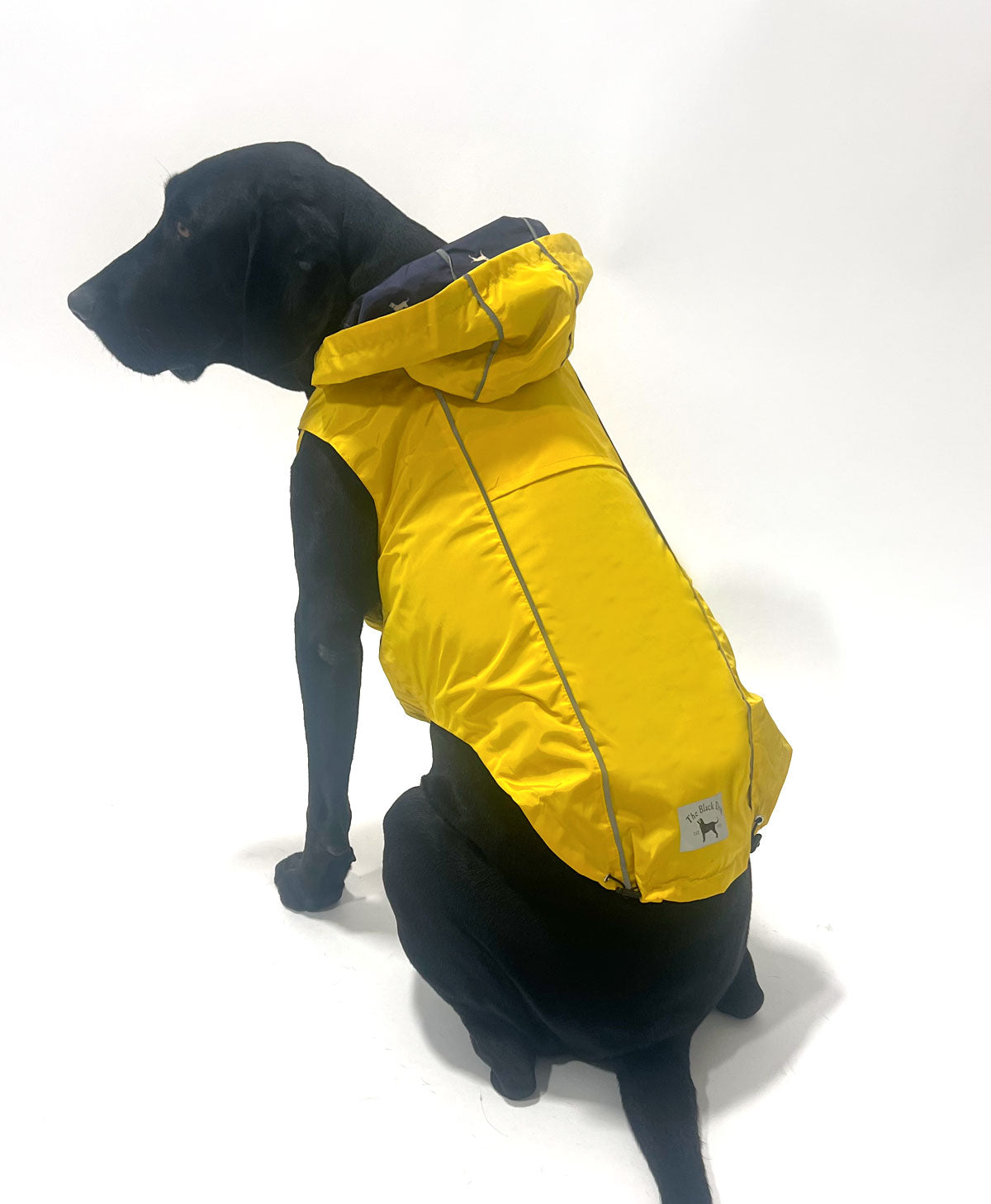 Reversible Dog Raincoat